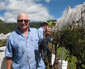 Razorback Ridge Wines - Tourism Cairns 8