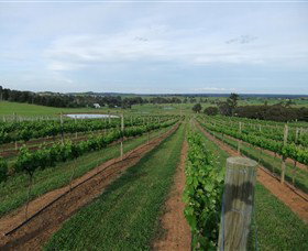 Razorback Ridge Wines - Tourism Cairns 1