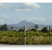Ironbark Ridge Vineyard - Tourism Cairns