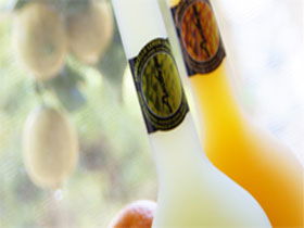 Ambra Limoncello - Tourism Cairns 0