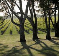 Henry's Drive Vignerons - Tourism Cairns