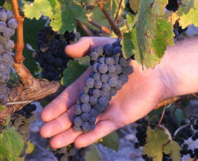 Eagles Rise Wine - Tourism Cairns 0