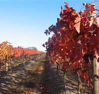 Kooyonga Creek Wines - Tourism Cairns