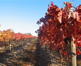 Kooyonga Creek Wines - Tourism Cairns 0