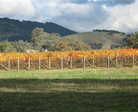 Kooyonga Creek Wines - Tourism Cairns 4