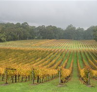 Boat O'Craigo Wines - Tourism Cairns