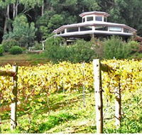 Peveril Vineyard/Beechy Berries - Tourism Cairns