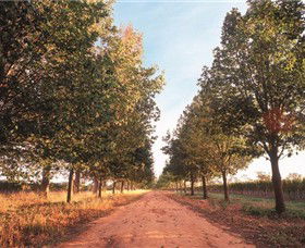 Water Wheel Vineyards - Tourism Cairns 1