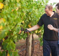 Fratin Brothers Vineyard - Tourism Cairns