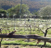 Three Willows Vineyard - Tourism Cairns