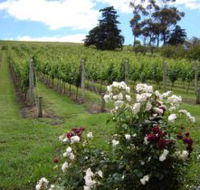 Pembroke Estate Vineyard - Tourism Cairns