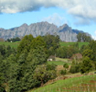 Lake Barrington Vineyard - Tourism Cairns
