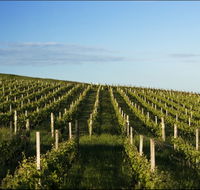 Delamere Vineyard - Tourism Cairns