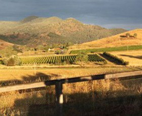 Optimiste Wines - Tourism Cairns 0