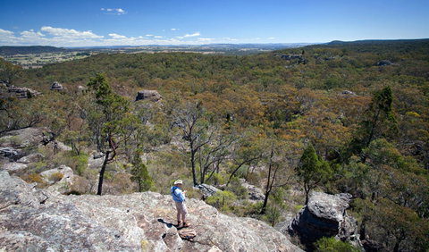 Munghorn Gap Nature Reserve - Tourism Cairns 1