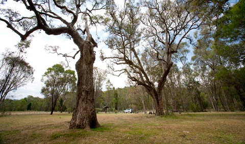Munghorn Gap Nature Reserve - Tourism Cairns 3