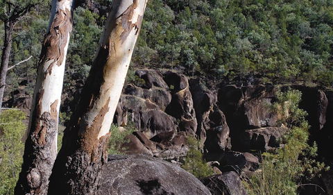 Macintyre Falls Lookout - Tourism Cairns 3