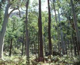 Cathedral Range State Park - Tourism Cairns 0