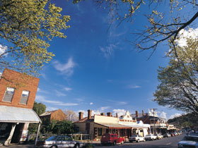 Drysdale Cheeses - Tourism Cairns 1