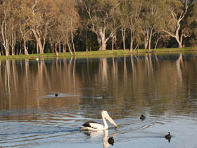 Drysdale Cheeses - Tourism Cairns 7