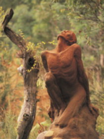 Drysdale Cheeses - Tourism Cairns 10