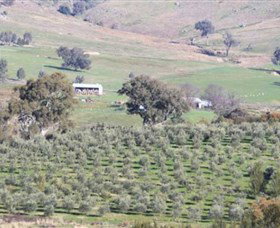 Wymah Organic Olives And Lambs - Tourism Cairns 0