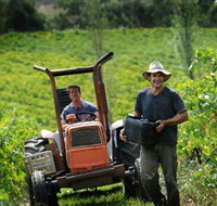 Kellybrook Winery Kelly Brothers Cider  Riders Brew Co. - Tourism Cairns