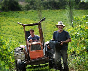 Kellybrook Winery, Kelly Brothers Cider & Riders Brew Co. - Tourism Cairns 0