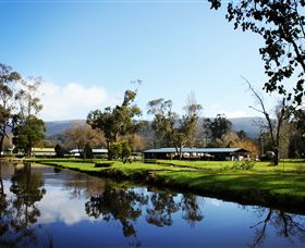 Buxton Trout & Salmon Farm - Tourism Cairns 0