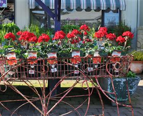 Van Loon's Nursery - Tourism Cairns 0