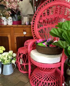 Van Loon's Nursery - Tourism Cairns 3