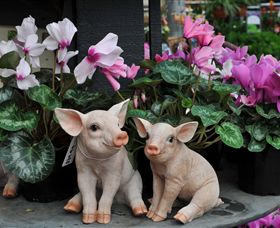 Van Loon's Nursery - Tourism Cairns 2