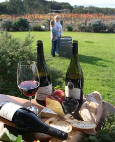 Kiltynane Wines - Tourism Cairns 1