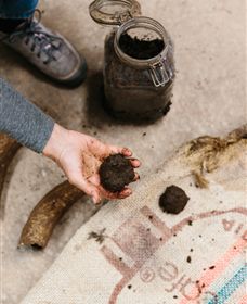 Kiltynane Wines - Tourism Cairns 7