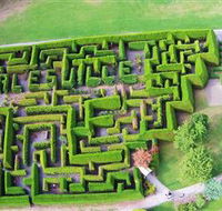 Hedgend Maze and Healesville Laser Sport - Tourism Cairns