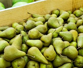 Dandenong Market - Tourism Cairns 1