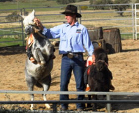 Boggy Creek Shows - Tourism Cairns 2