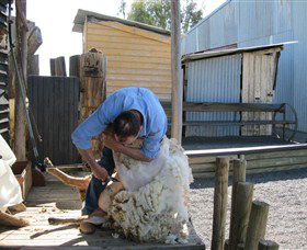Boggy Creek Shows - Tourism Cairns 4