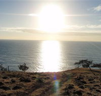 Southend Curtis Island - Tourism Cairns
