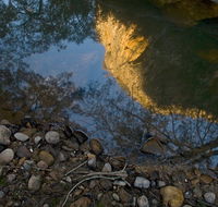 Abercrombie Karst Conservation Reserve - Tourism Cairns