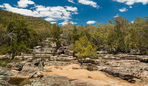Warrabah National Park - Tourism Cairns 3