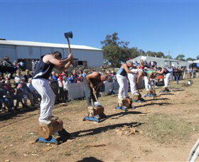 Quirindi Rural Heritage Village - Tourism Cairns 1