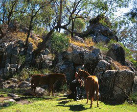  Tourism Cairns