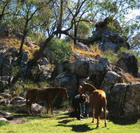 Coomba Falls - Tourism Cairns