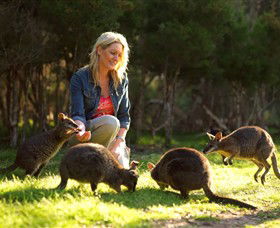 Moonlit Sanctuary Wildlife Conservation Park - Tourism Cairns 0