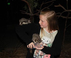 Moonlit Sanctuary Wildlife Conservation Park - Tourism Cairns 6