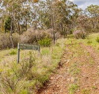 Old Mountain Road Walking Track - Tourism Cairns