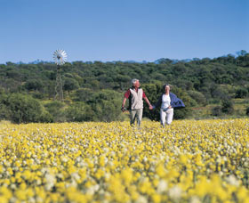 Morawa ACT Tourism Cairns