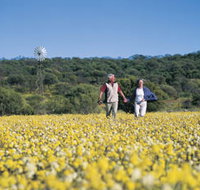 Koolanooka Springs - Tourism Cairns