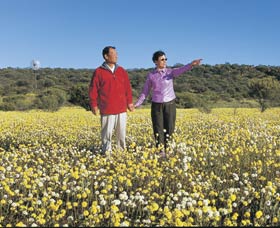 Koolanooka Springs - Tourism Cairns 1